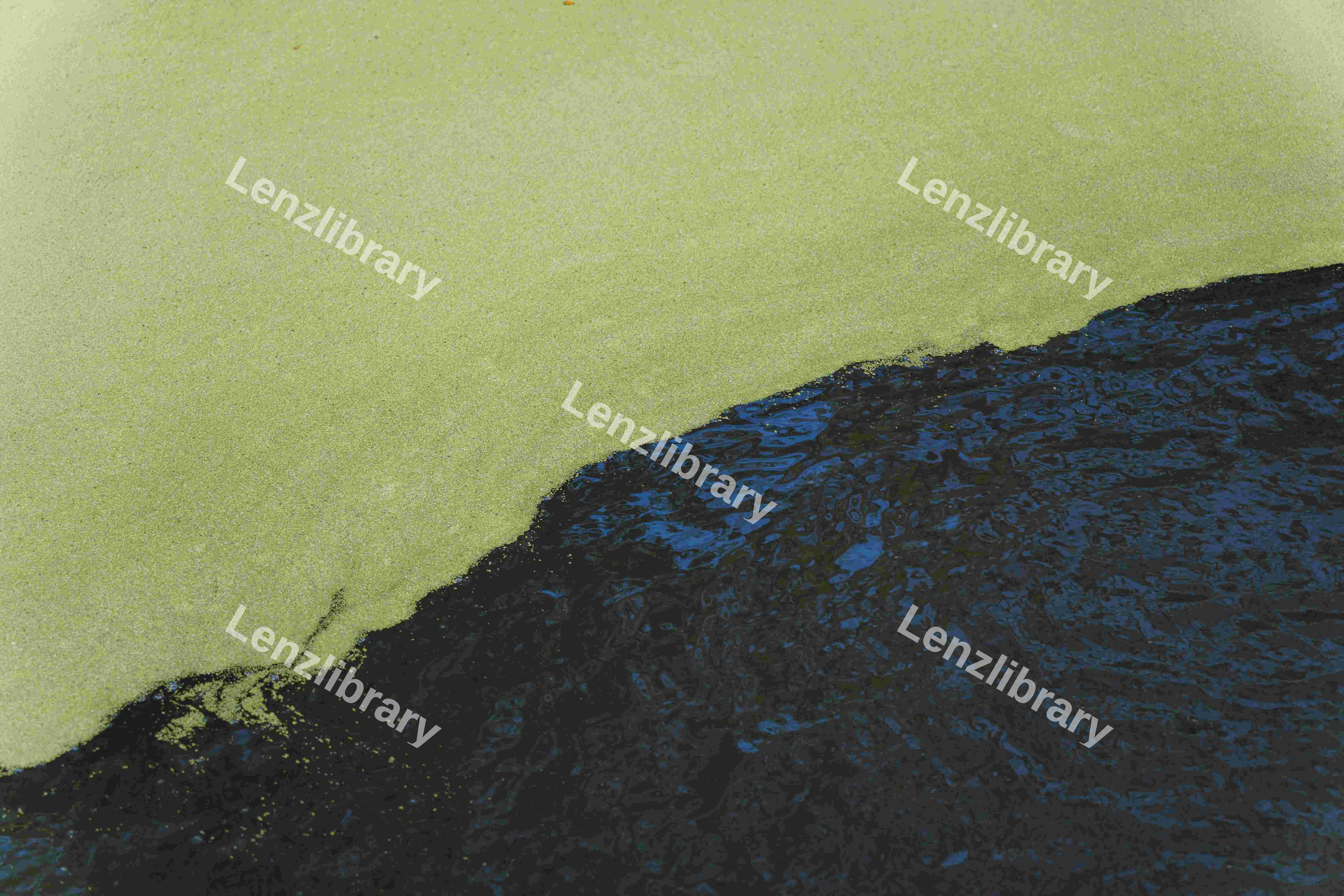 Algae (Variation)